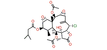 Briaviolide E